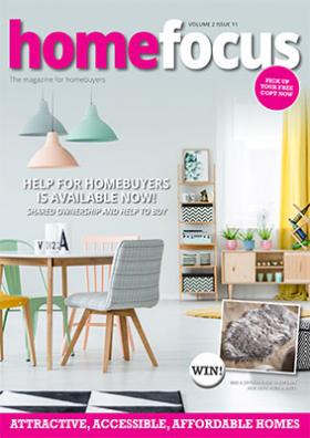 Home Focus Issue 11