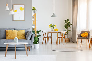 Living room and dining room